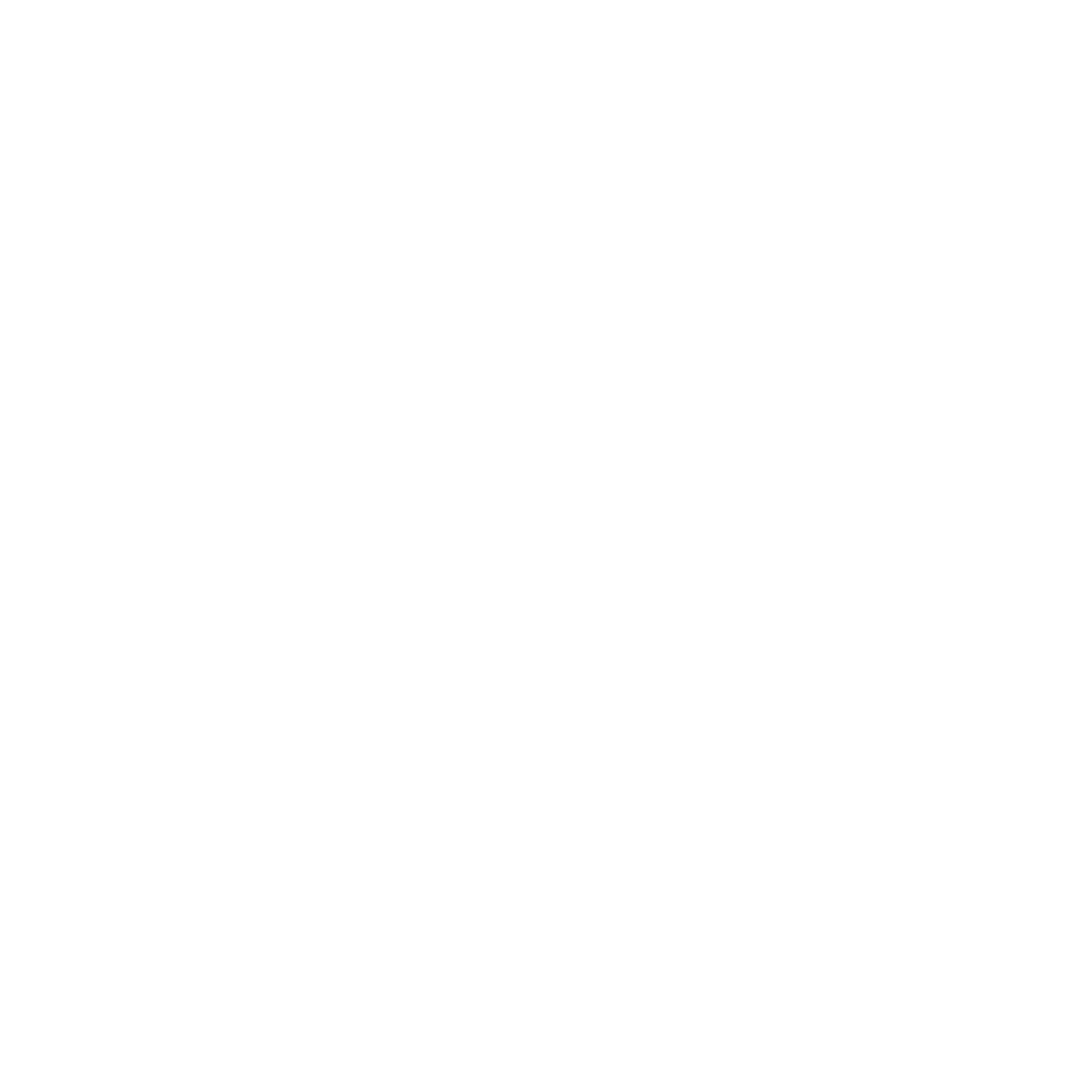 LIT FASHION
